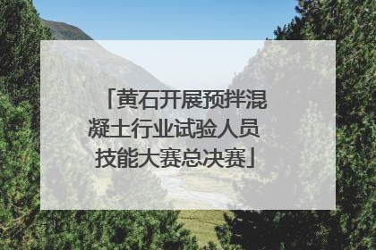 黄石开展预拌混凝土行业试验人员技能大赛总决赛