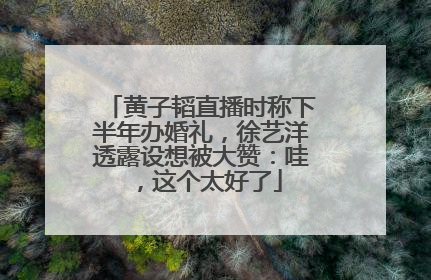 黄子韬直播时称下半年办婚礼，徐艺洋透露设想被大赞：哇，这个太好了