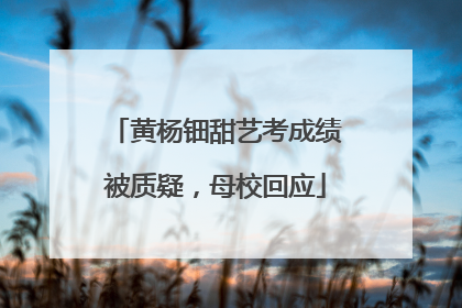 黄杨钿甜艺考成绩被质疑，母校回应