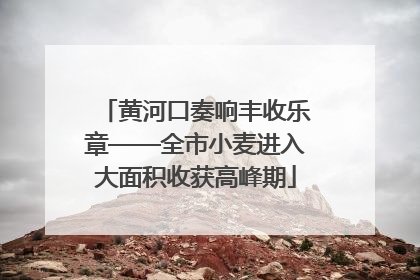 黄河口奏响丰收乐章——全市小麦进入大面积收获高峰期