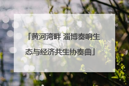 黄河湾畔 淄博奏响生态与经济共生协奏曲