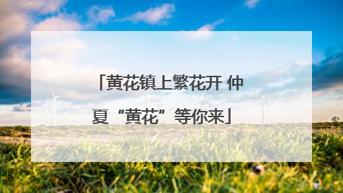 黄花镇上繁花开 仲夏“黄花”等你来