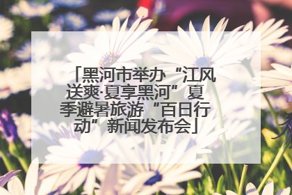 黑河市举办“江风送爽·夏享黑河”夏季避暑旅游“百日行动”新闻发布会