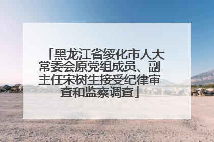 黑龙江省绥化市人大常委会原党组成员、副主任宋树生接受纪律审查和监察调查