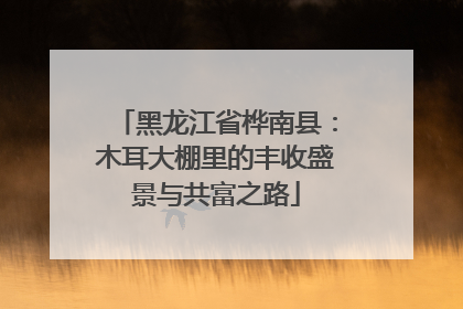 黑龙江省桦南县：木耳大棚里的丰收盛景与共富之路