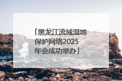 黑龙江流域湿地保护网络2025年会成功举办