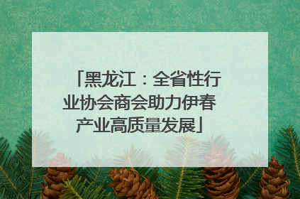 黑龙江：全省性行业协会商会助力伊春产业高质量发展