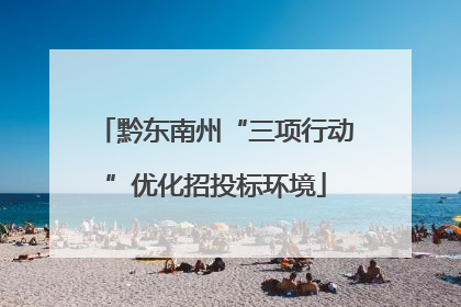 黔东南州“三项行动”优化招投标环境