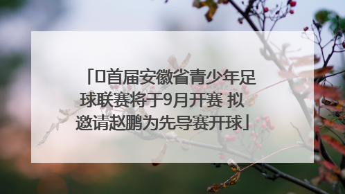﻿首届安徽省青少年足球联赛将于9月开赛 拟邀请赵鹏为先导赛开球