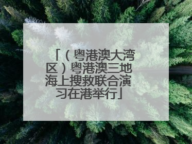 （粤港澳大湾区）粤港澳三地海上搜救联合演习在港举行