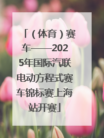 （体育）赛车——2025年国际汽联电动方程式赛车锦标赛上海站开赛