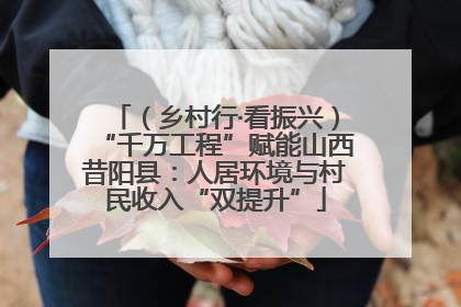 （乡村行·看振兴）“千万工程”赋能山西昔阳县：人居环境与村民收入“双提升”