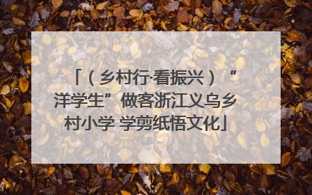 （乡村行·看振兴）“洋学生”做客浙江义乌乡村小学 学剪纸悟文化