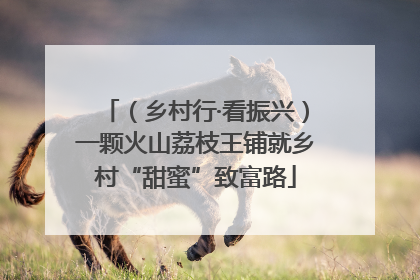 （乡村行·看振兴）一颗火山荔枝王铺就乡村“甜蜜”致富路