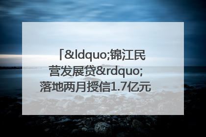 “锦江民营发展贷”落地两月授信1.7亿元，惠及118家民企