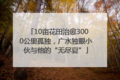 10亩花田治愈3000公里孤独，广水独眼小伙与他的“无尽夏”