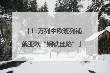 11万列中欧班列铺就亚欧“钢铁丝路”