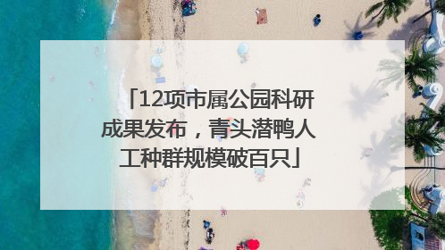 12项市属公园科研成果发布，青头潜鸭人工种群规模破百只