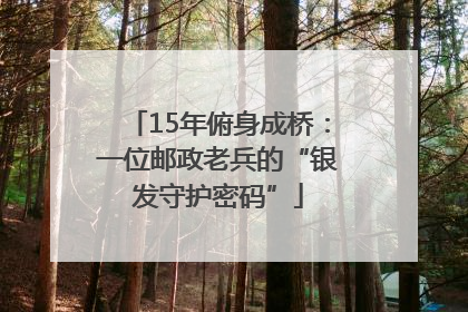 15年俯身成桥：一位邮政老兵的“银发守护密码”