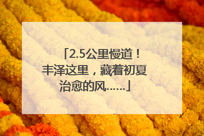 2.5公里慢道！丰泽这里，藏着初夏治愈的风……