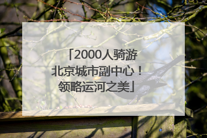 2000人骑游北京城市副中心！领略运河之美