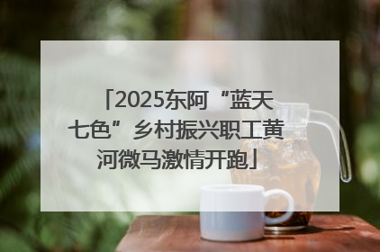 2025东阿“蓝天七色”乡村振兴职工黄河微马激情开跑