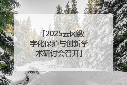 2025云冈数字化保护与创新学术研讨会召开