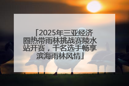 2025年三亚经济圈热带雨林挑战赛陵水站开赛，千名选手畅享滨海雨林风情