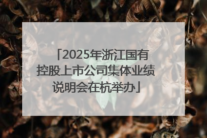 2025年浙江国有控股上市公司集体业绩说明会在杭举办