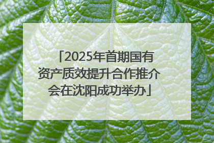 2025年首期国有资产质效提升合作推介会在沈阳成功举办