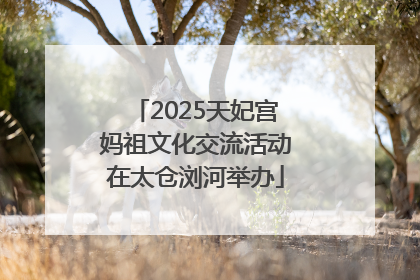 2025天妃宫妈祖文化交流活动在太仓浏河举办