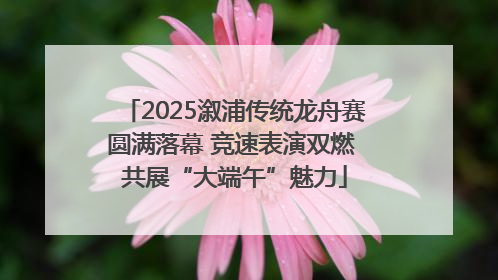 2025溆浦传统龙舟赛圆满落幕 竞速表演双燃 共展“大端午”魅力