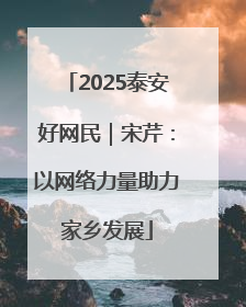 2025泰安好网民｜宋芹：以网络力量助力家乡发展