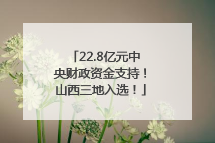 22.8亿元中央财政资金支持！山西三地入选！