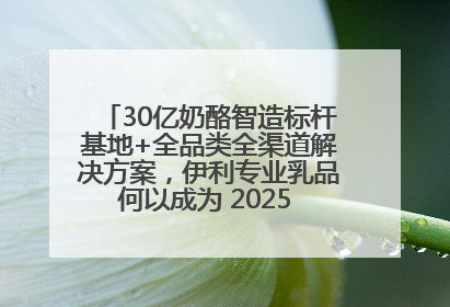 30亿奶酪智造标杆基地+全品类全渠道解决方案，伊利专业乳品何以成为 2025 焙烤展 MV