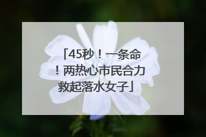 45秒！一条命！两热心市民合力救起落水女子