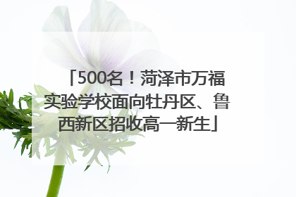 500名！菏泽市万福实验学校面向牡丹区、鲁西新区招收高一新生