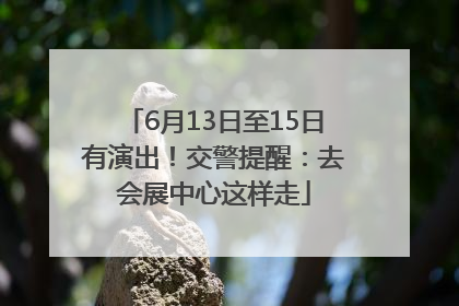 6月13日至15日有演出！交警提醒：去会展中心这样走