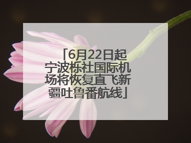 6月22日起宁波栎社国际机场将恢复直飞新疆吐鲁番航线