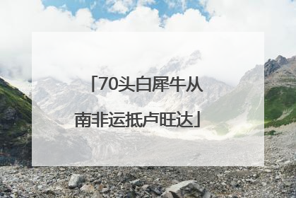 70头白犀牛从南非运抵卢旺达