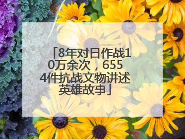 8年对日作战10万余次，6554件抗战文物讲述英雄故事