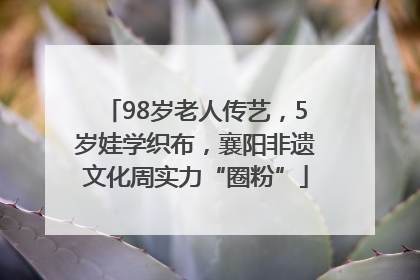 98岁老人传艺，5岁娃学织布，襄阳非遗文化周实力“圈粉”