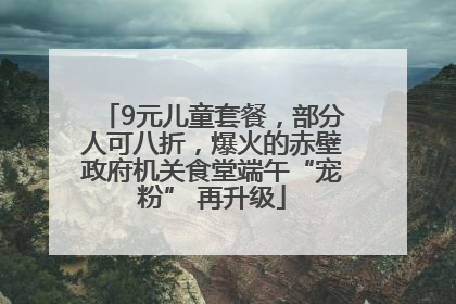 9元儿童套餐，部分人可八折，爆火的赤壁政府机关食堂端午“宠粉” 再升级