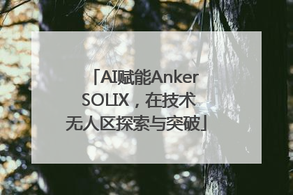 AI赋能Anker SOLIX，在技术无人区探索与突破