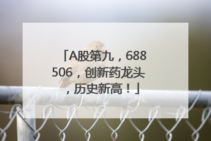 A股第九，688506，创新药龙头，历史新高！
