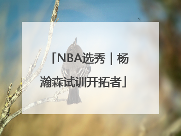 NBA选秀｜杨瀚森试训开拓者