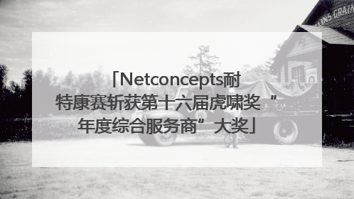 Netconcepts耐特康赛斩获第十六届虎啸奖“年度综合服务商”大奖