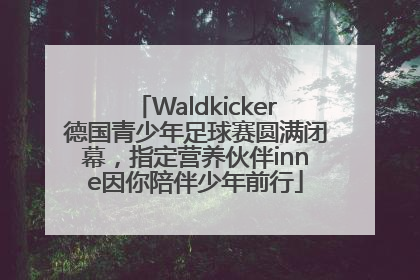 Waldkicker德国青少年足球赛圆满闭幕，指定营养伙伴inne因你陪伴少年前行