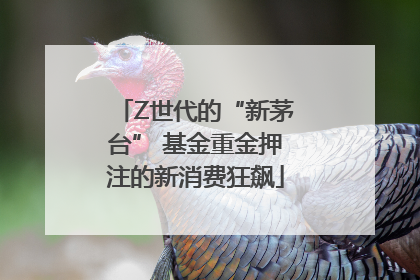 Z世代的“新茅台” 基金重金押注的新消费狂飙